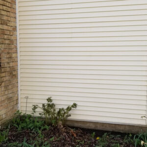 Photo of white vinyl siding recently power washed and cleaned