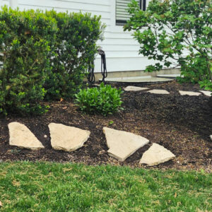 Photo of decorative brick pavers after being power washed